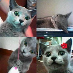 f:id:aranciarossa:20210912181214j:plain