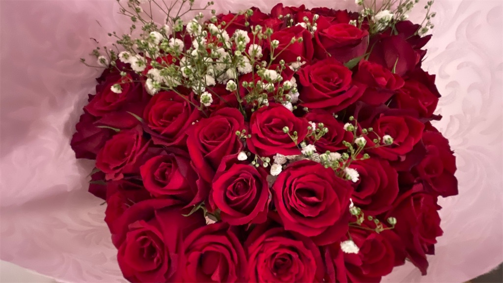f:id:aranciarossa:20211020000854j:image f:id:aranciarossa:20211020000854j:image