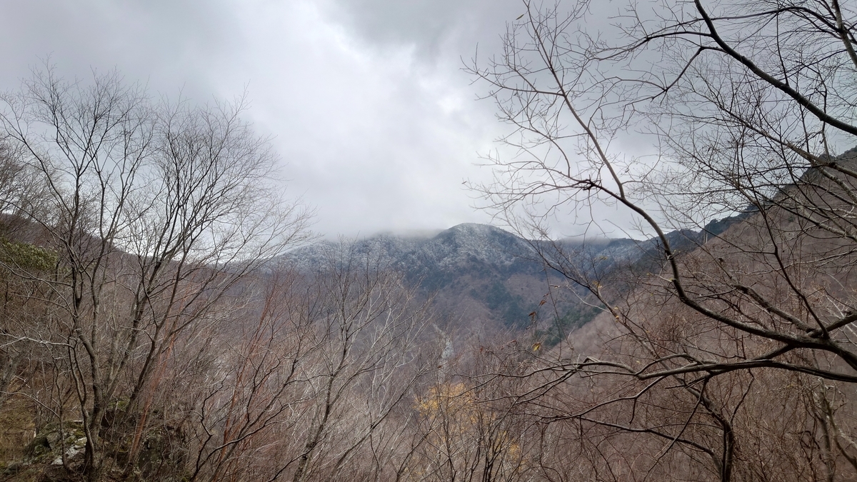f:id:aranciarossa:20220119083540j:plain