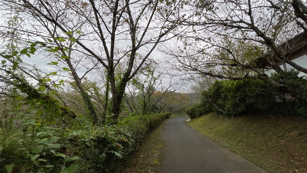 f:id:aranciarossa:20221010220157j:image f:id:aranciarossa:20221010220157j:image