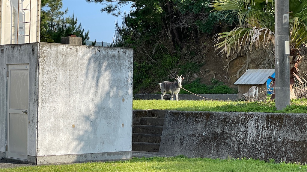 f:id:aranciarossa:20230427084409j:image