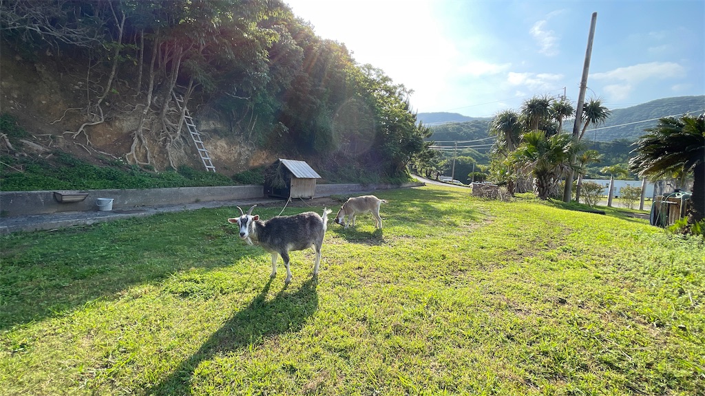 f:id:aranciarossa:20230427084415j:image