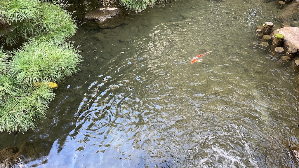 f:id:aranciarossa:20230929201848j:image f:id:aranciarossa:20230929201848j:image