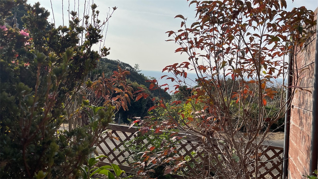 f:id:aranciarossa:20231230092451j:image