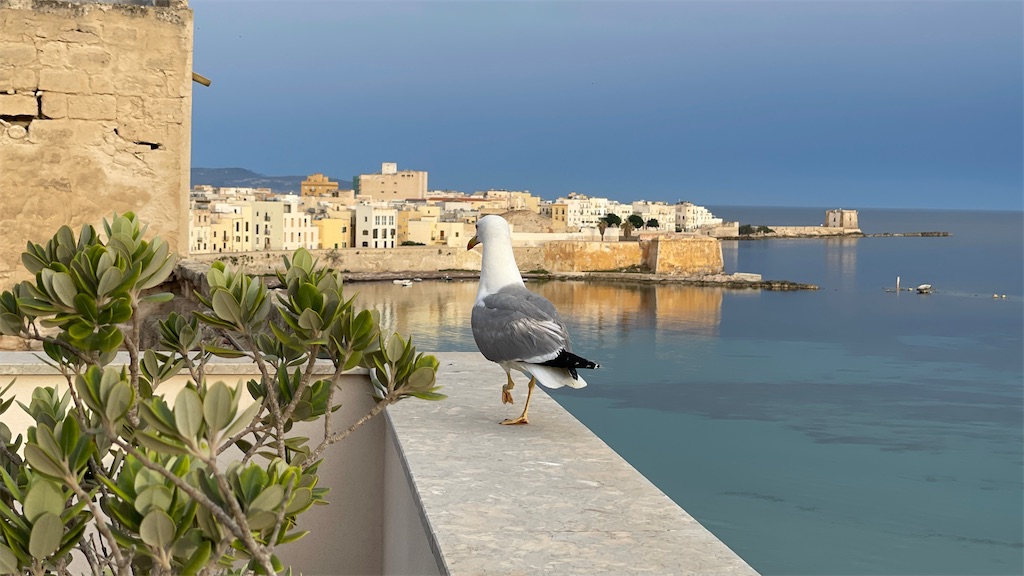 f:id:aranciarossa:20240617111408j:image