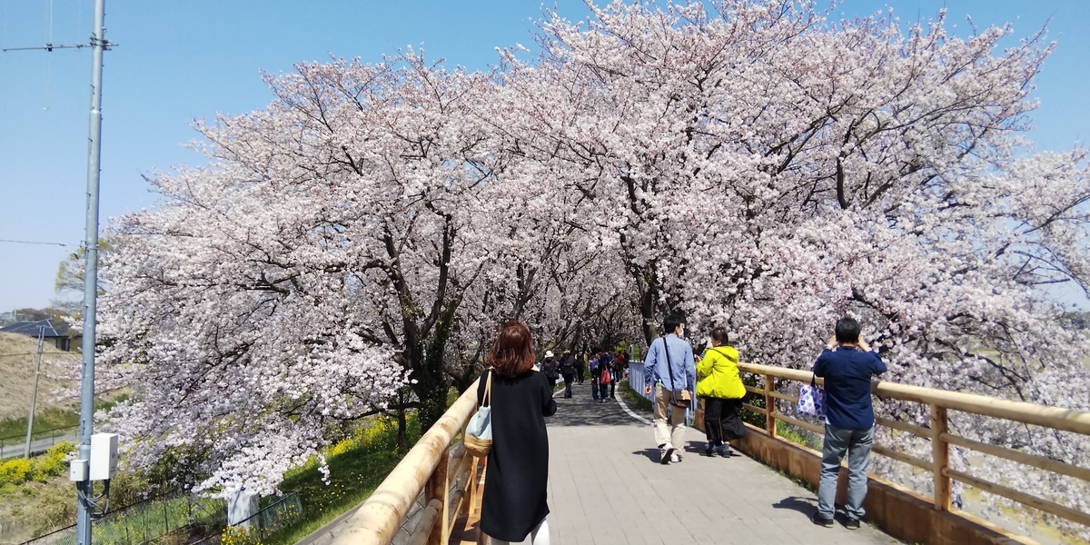 f:id:arapota:20190407212345j:plain