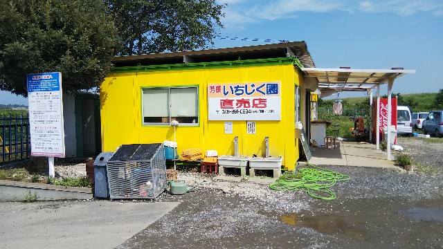 f:id:arapota:20190824200815j:image f:id:arapota:20190824200815j:image