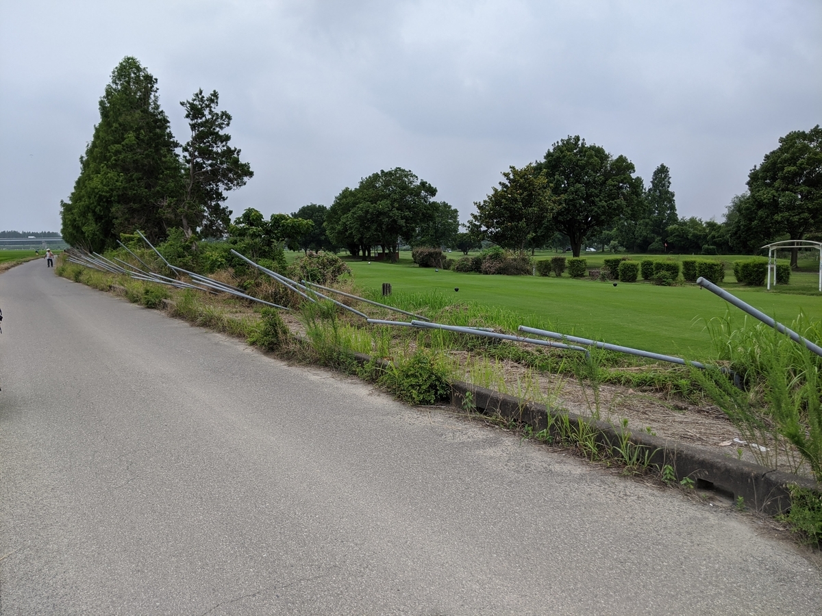 f:id:arapota:20200628134314j:plain f:id:arapota:20200628134314j:plain