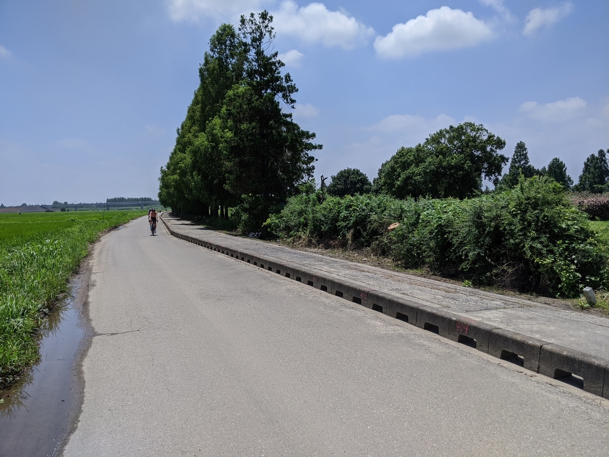 f:id:arapota:20200719192029j:plain f:id:arapota:20200719192029j:plain