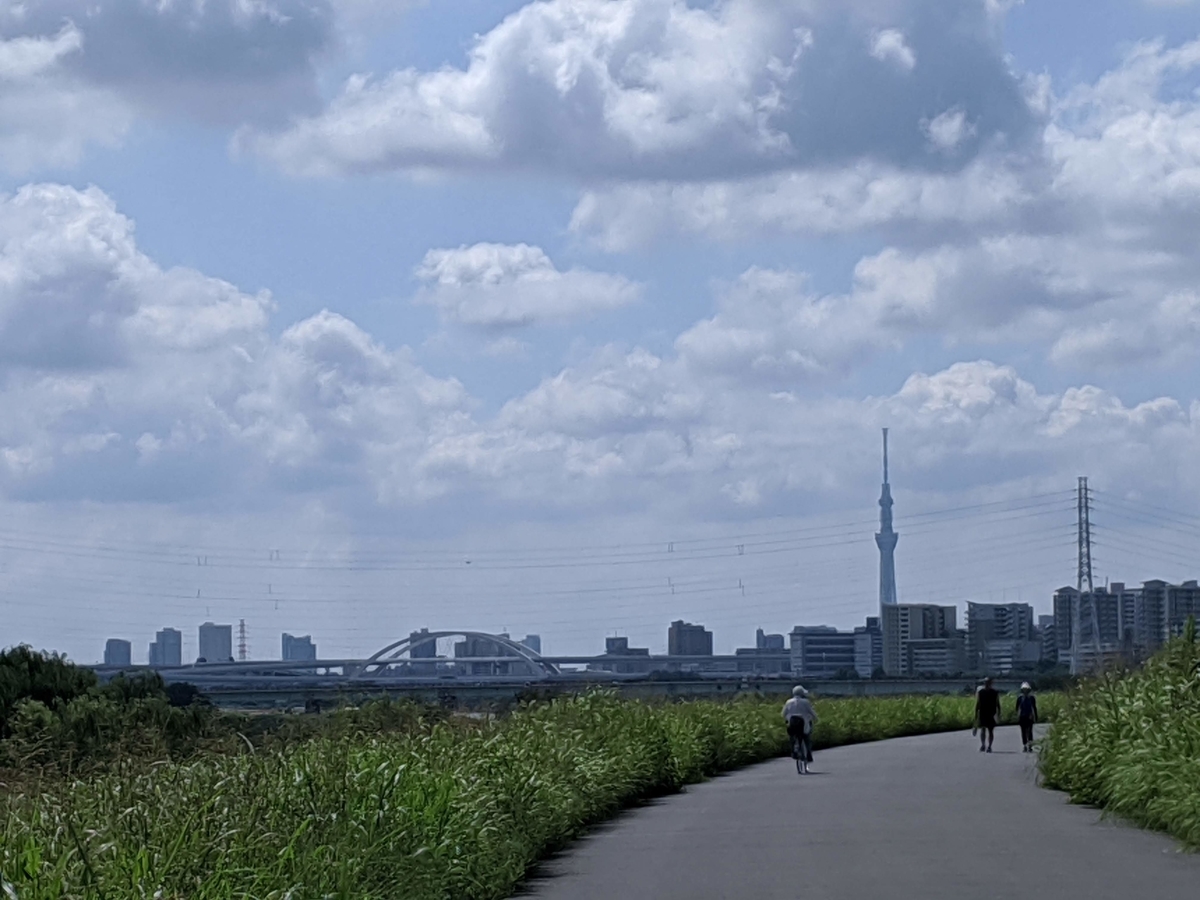 f:id:arapota:20200801181801j:plain f:id:arapota:20200801181801j:plain