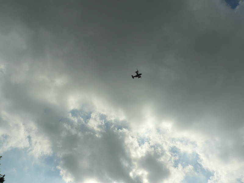 f:id:arara-oyoyo:20171212230729j:plain