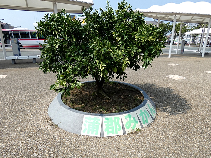 f:id:arara-oyoyo:20190814145536j:plain f:id:arara-oyoyo:20190814145536j:plain