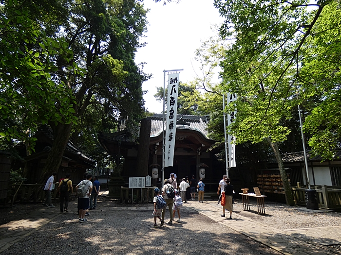 f:id:arara-oyoyo:20190814173352j:plain f:id:arara-oyoyo:20190814173352j:plain