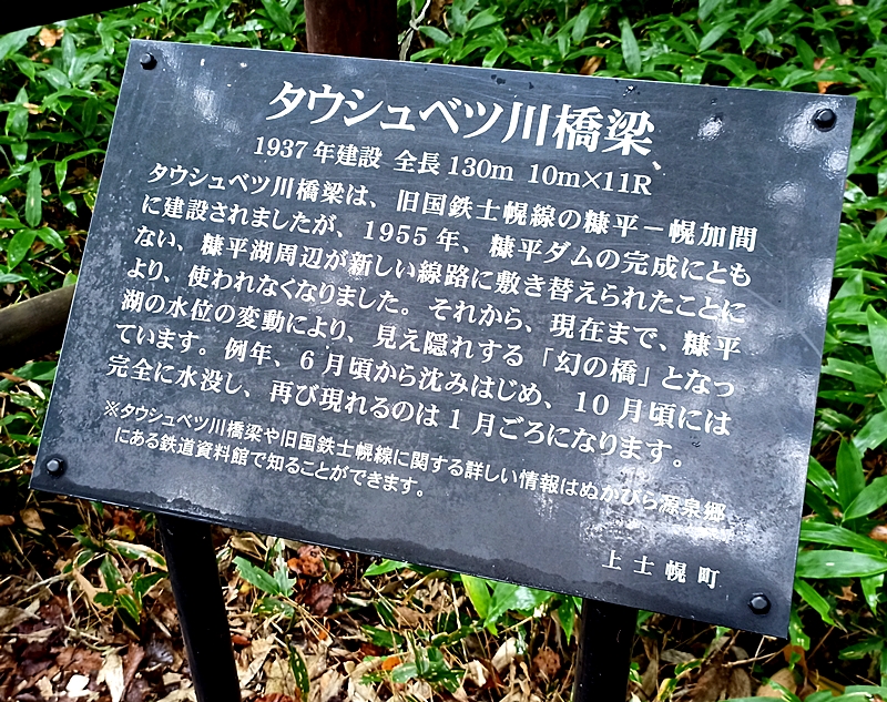 f:id:arara-oyoyo:20201015174649j:plain f:id:arara-oyoyo:20201015174649j:plain