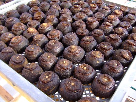 f:id:arara0225:20090413162913j:image