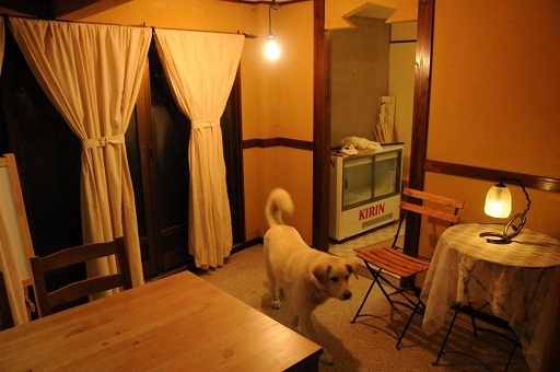 f:id:arara0225:20100201102135j:image