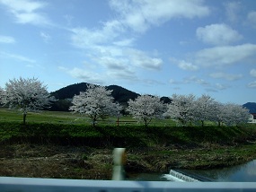 f:id:arara0225:20100410092117j:image f:id:arara0225:20100410092117j:image