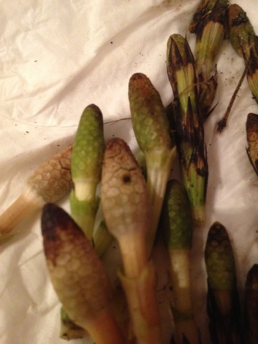 f:id:arara0225:20150308112344j:image