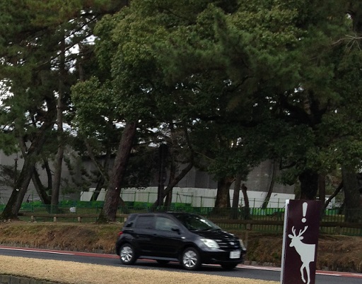 f:id:arara0225:20150310110257j:image