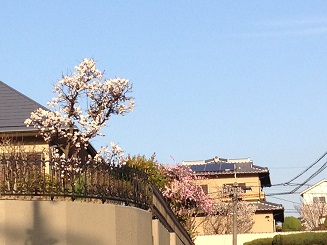 f:id:arara0225:20150317165313j:image