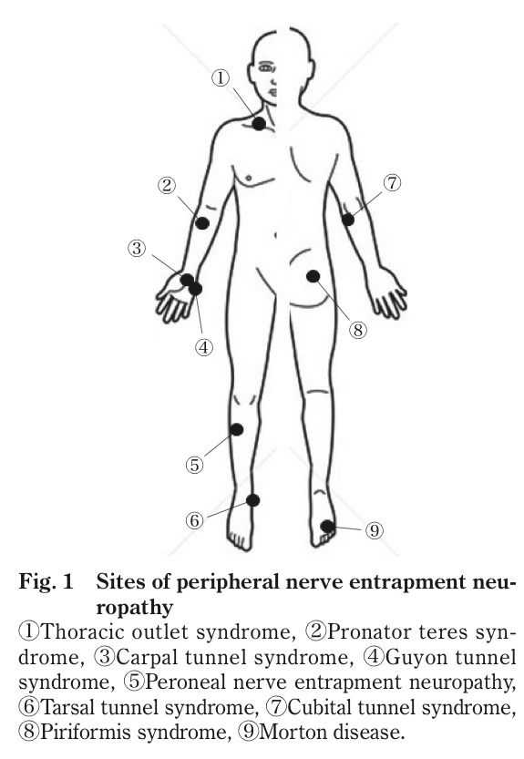 f:id:ararepyon:20190714063146p:plain f:id:ararepyon:20190714063146p:plain