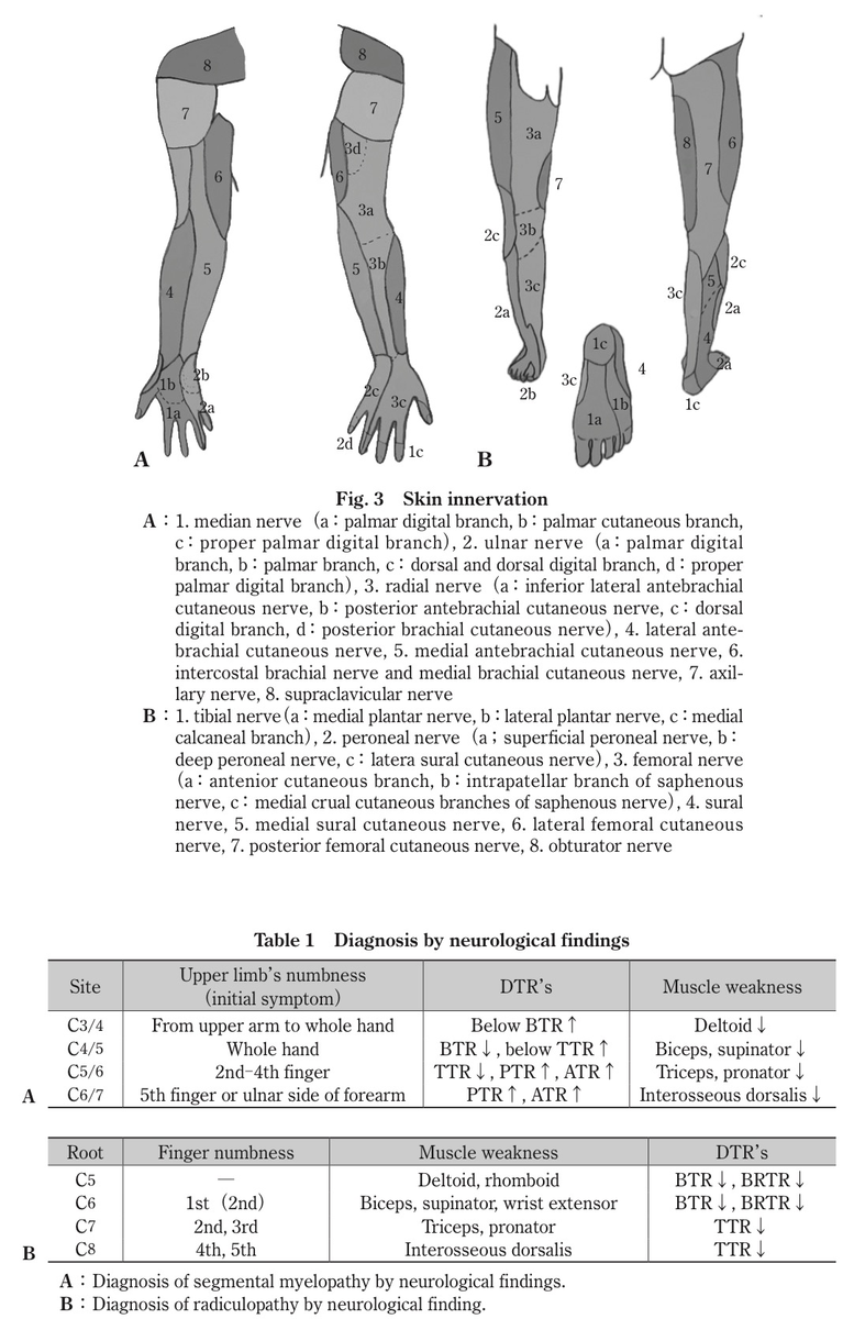 f:id:ararepyon:20190714063212p:plain f:id:ararepyon:20190714063212p:plain