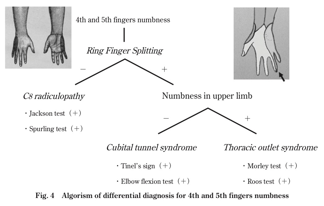 f:id:ararepyon:20190714063227p:plain f:id:ararepyon:20190714063227p:plain