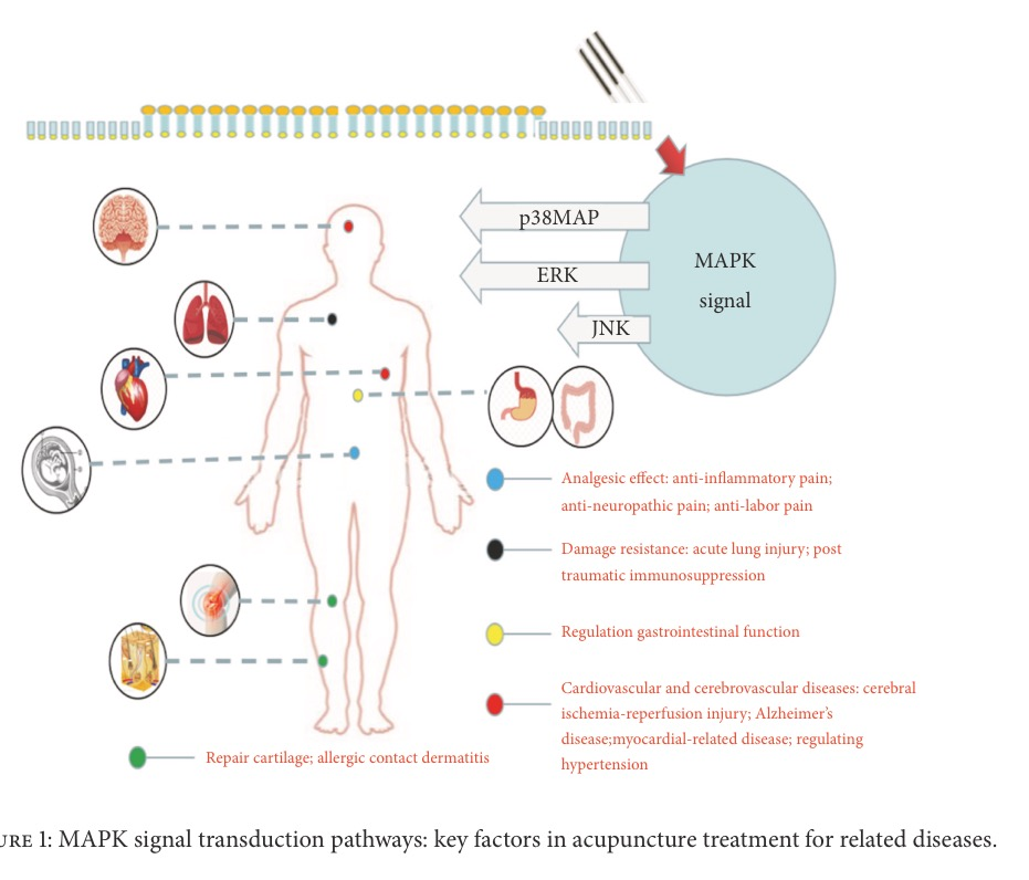 f:id:ararepyon:20190904070839p:plain