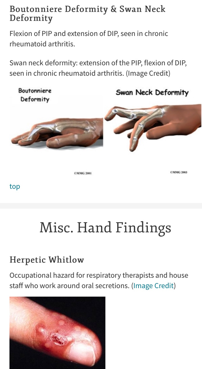 f:id:ararepyon:20191011092109p:plain f:id:ararepyon:20191011092109p:plain