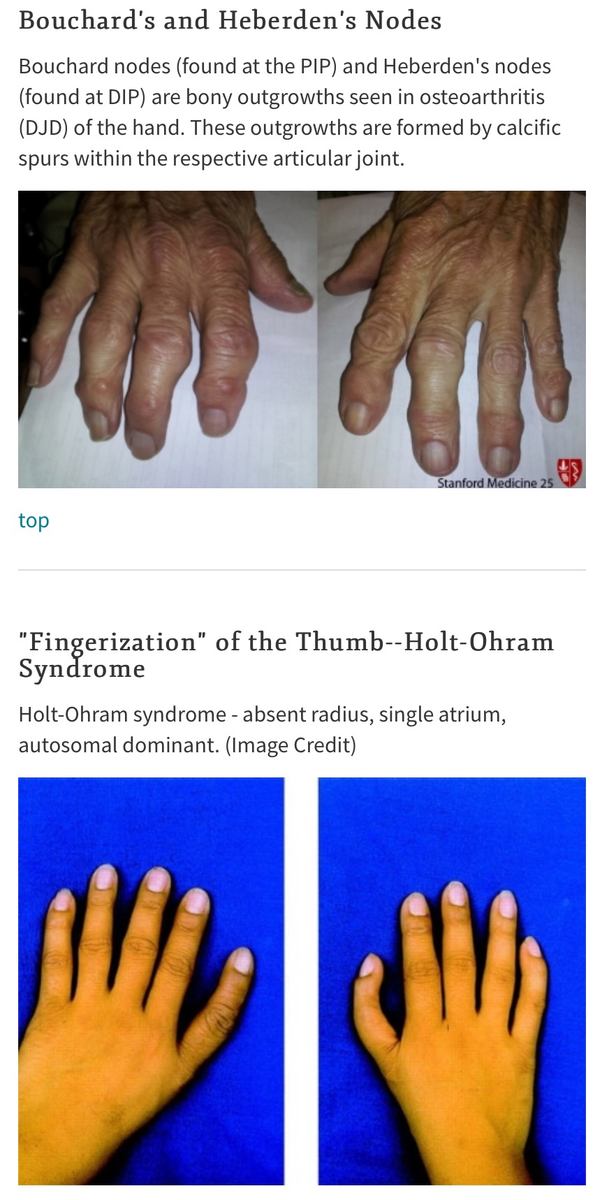 f:id:ararepyon:20191011092126p:plain f:id:ararepyon:20191011092126p:plain