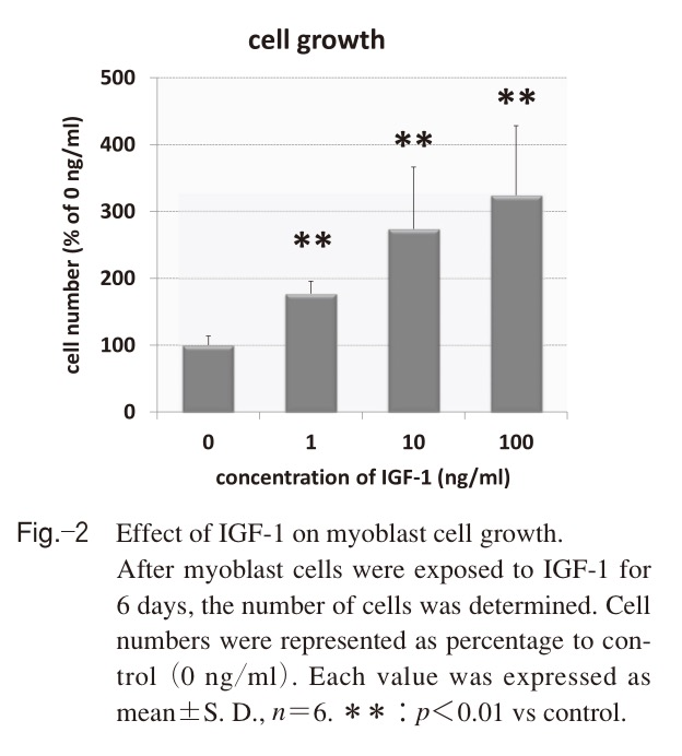 f:id:ararepyon:20191123134830p:plain f:id:ararepyon:20191123134830p:plain
