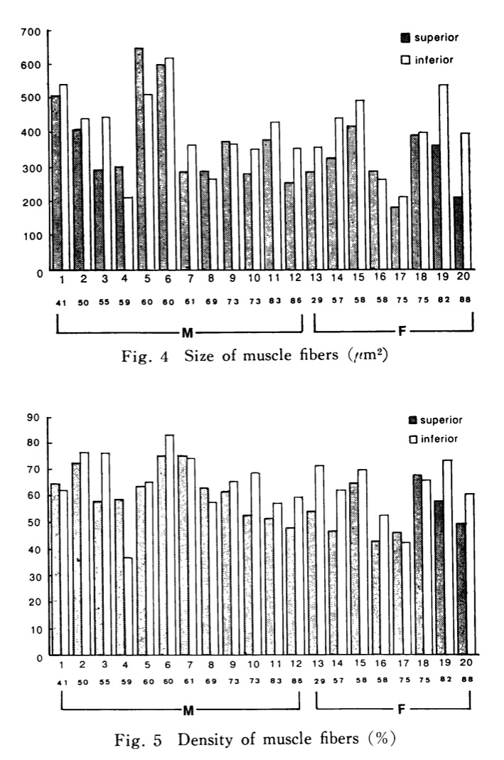f:id:ararepyon:20191123134844p:plain f:id:ararepyon:20191123134844p:plain
