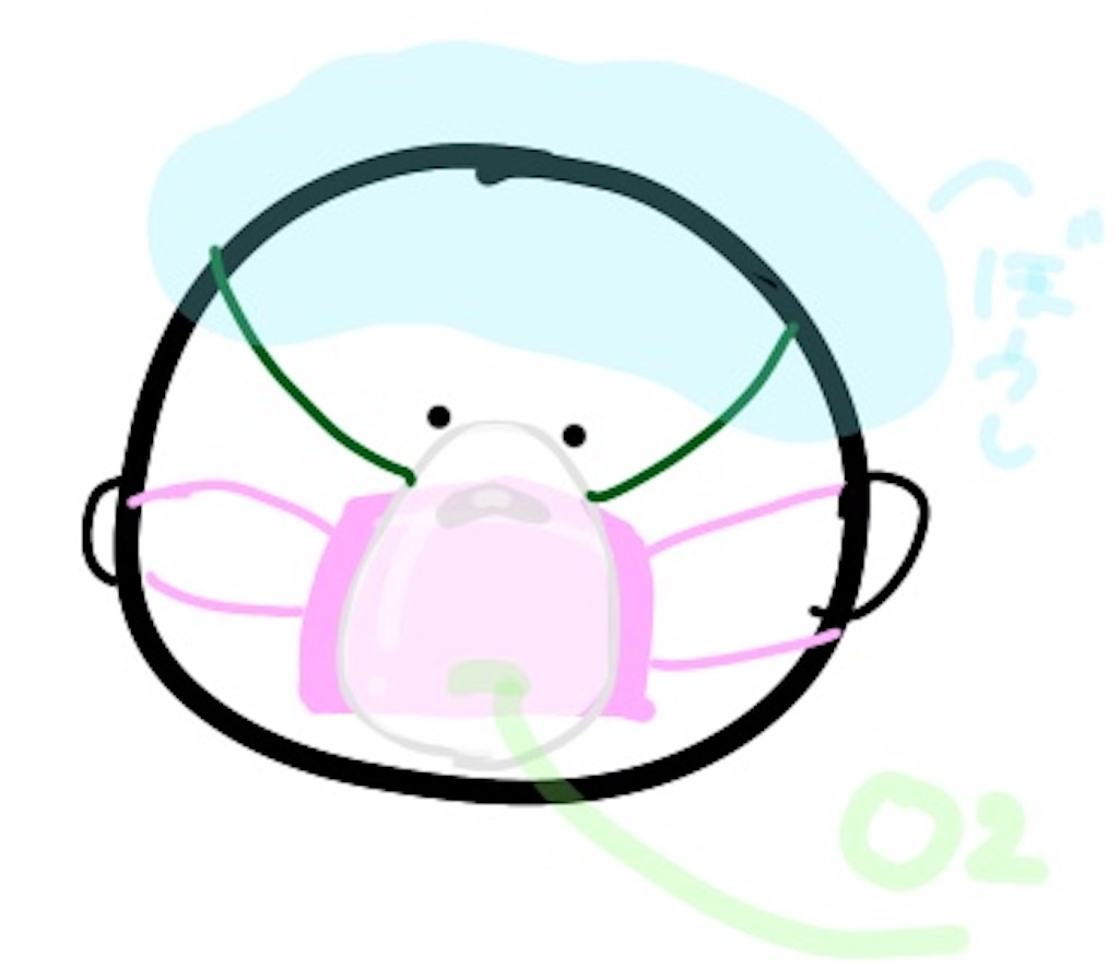 f:id:arasaaeri:20220303201909j:plain