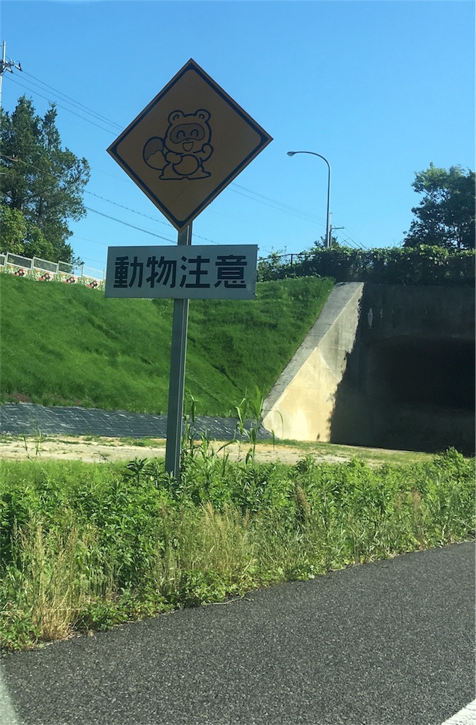 f:id:arasakishimai:20180529003427j:image f:id:arasakishimai:20180529003427j:image