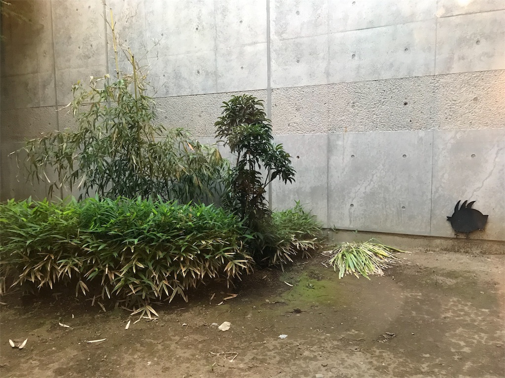 f:id:arasakishimai:20190527231651j:image