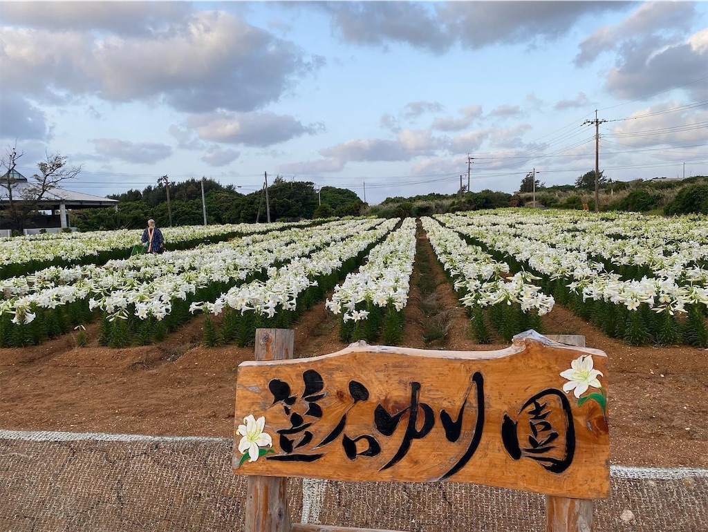 f:id:arasakishimai:20220526062101j:image