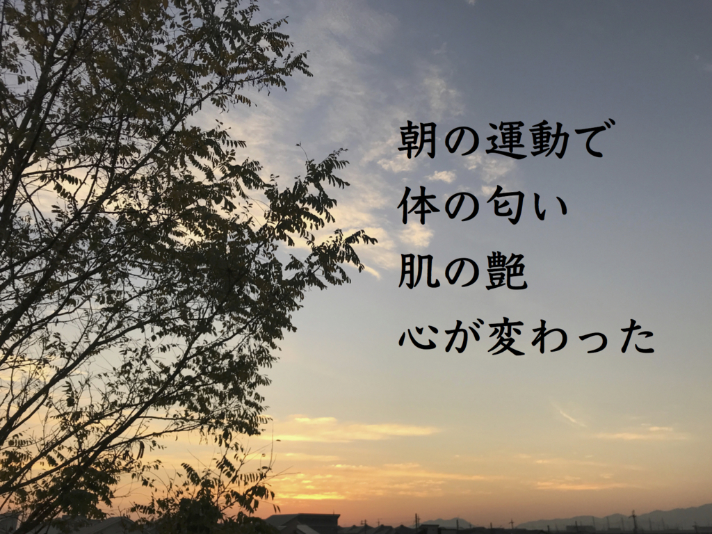 f:id:arasenstyle:20171103094209j:plain f:id:arasenstyle:20171103094209j:plain