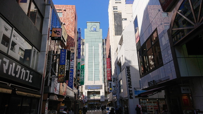 イメージ 3