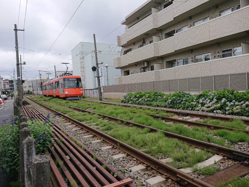 イメージ 18