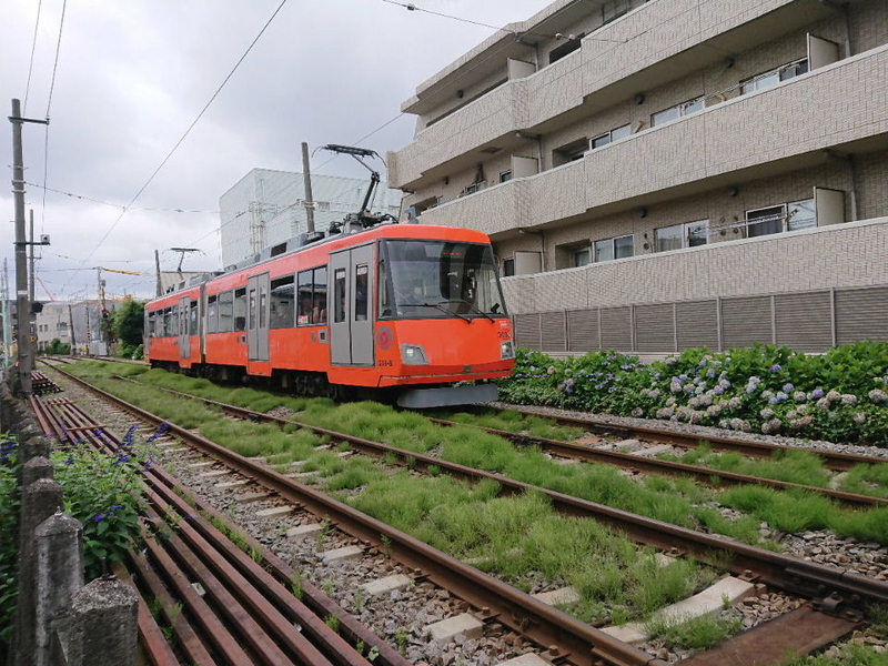 イメージ 19