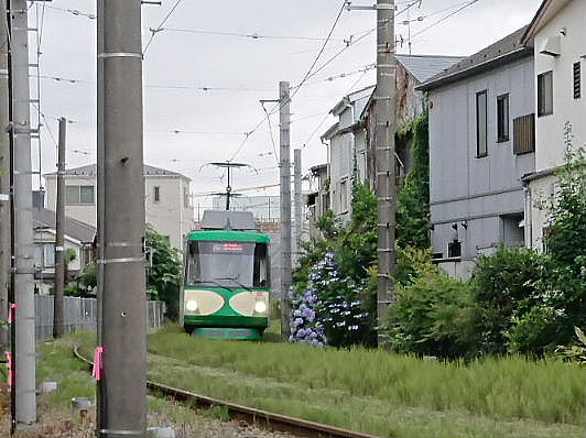 イメージ 23