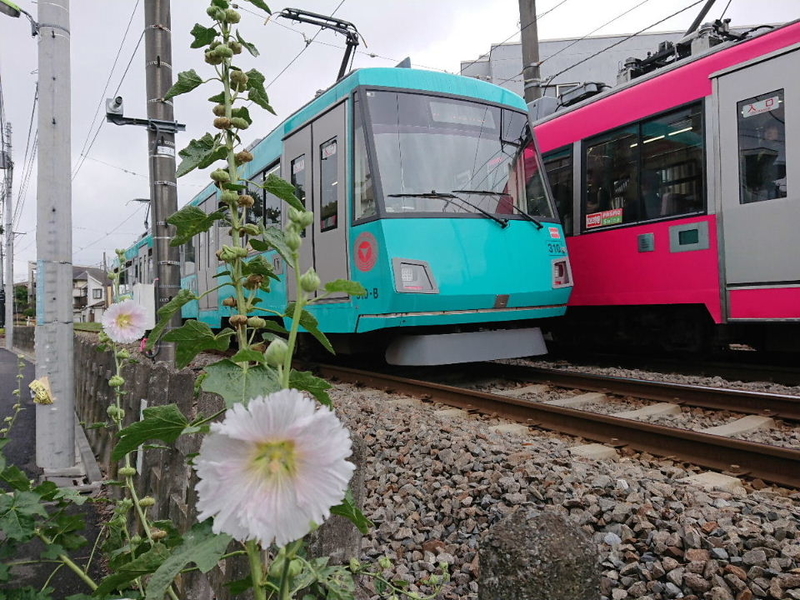 イメージ 25