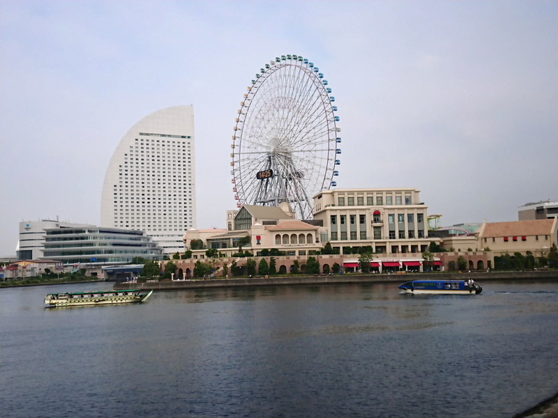 イメージ 11