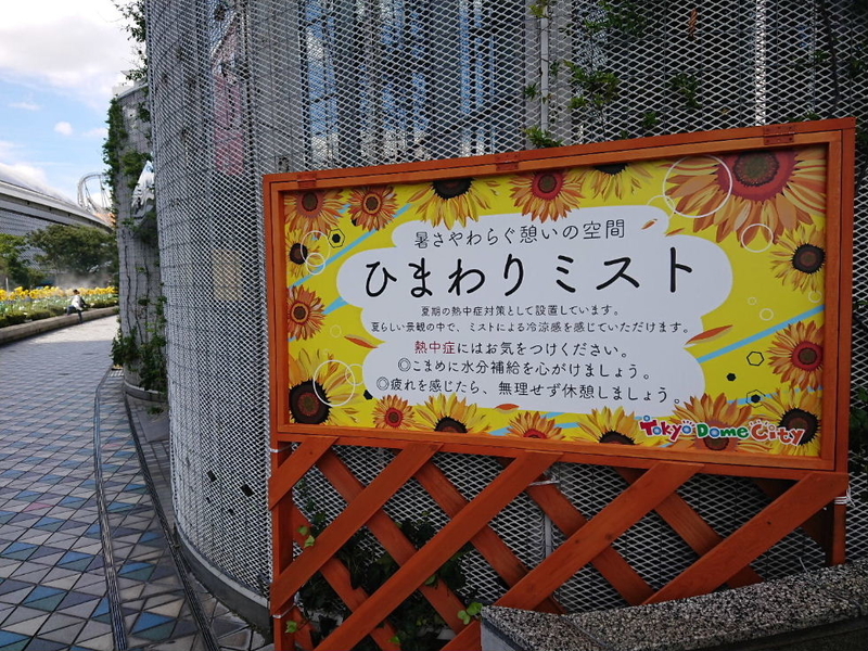 イメージ 15