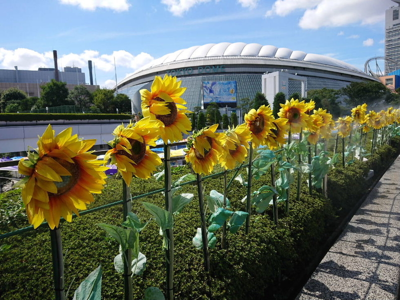 イメージ 16