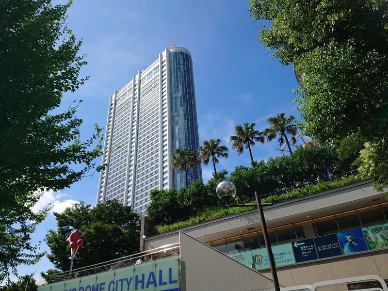 イメージ 6