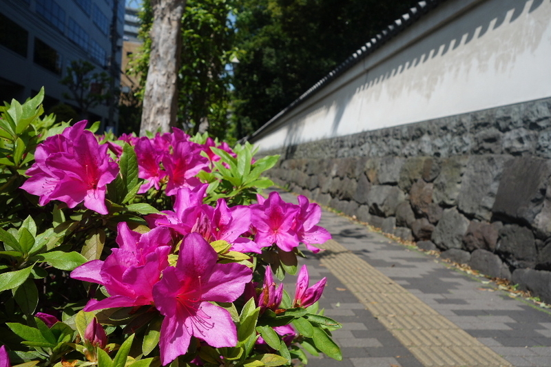 イメージ 15