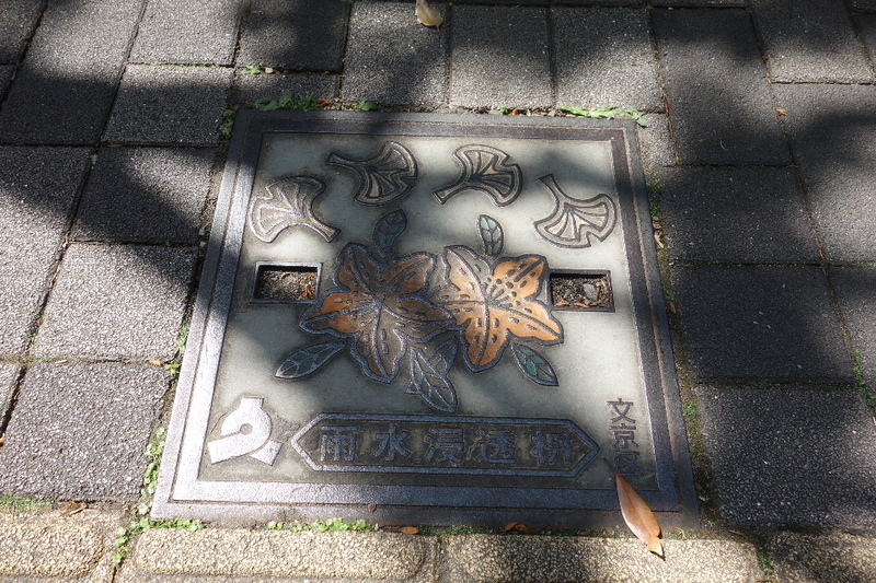 イメージ 16