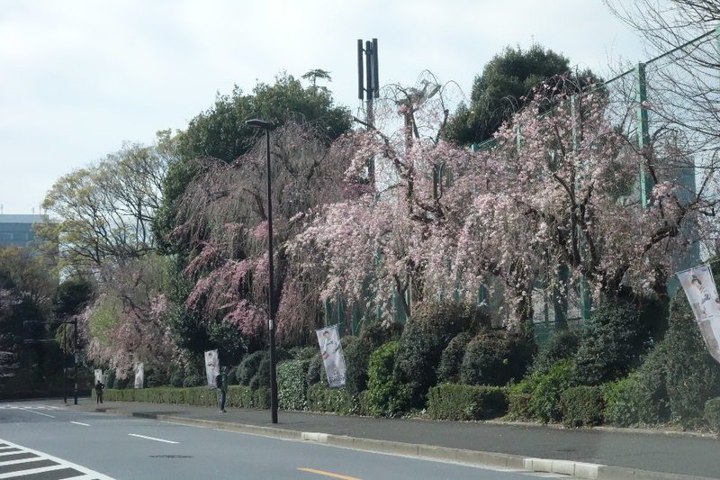 イメージ 1