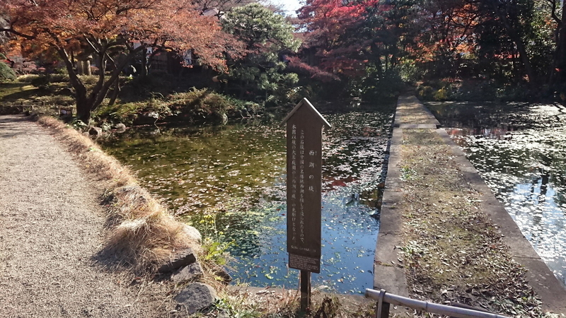 イメージ 13